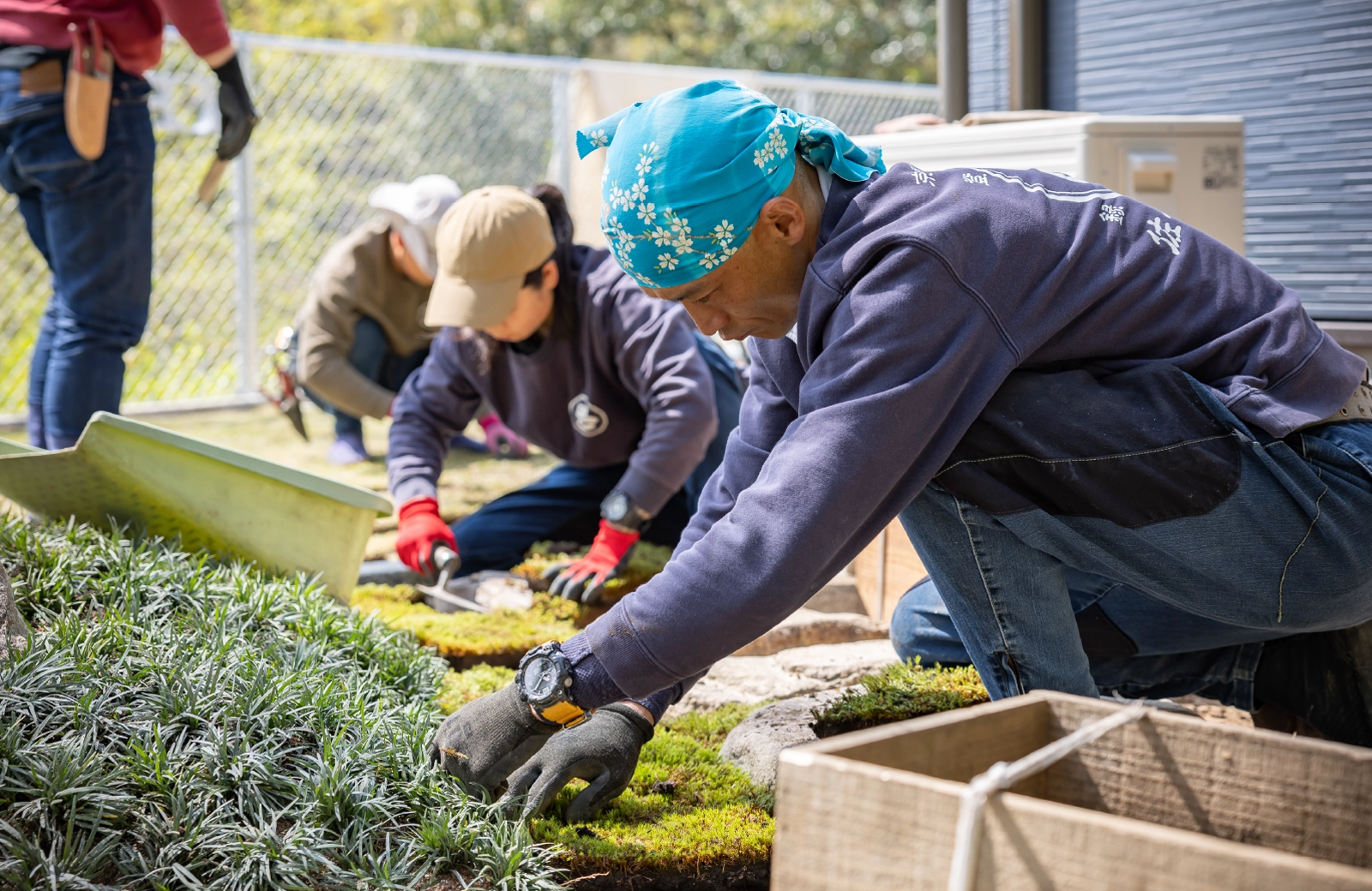 京都の造園・芝庭施工管理 佐々木造園