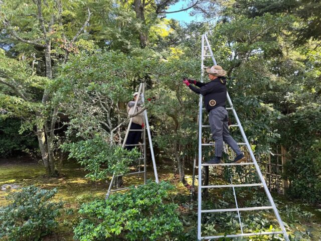 修学院離宮へお手伝い🌳
#修学院離宮
#植木屋