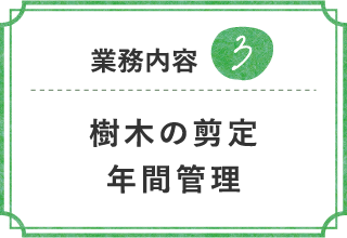 造園、芝庭施工の様子
