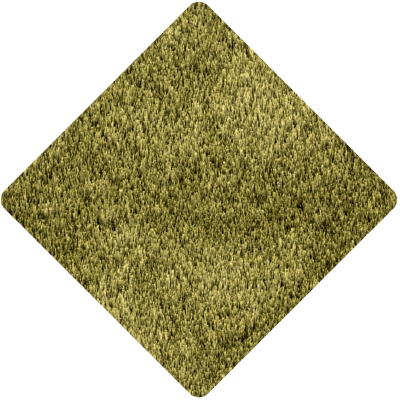 造園、芝庭施工の様子