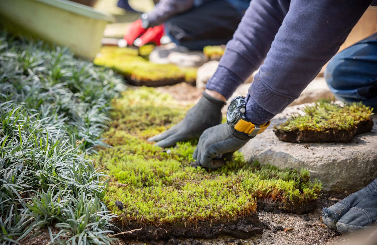 造園、芝庭施工の様子