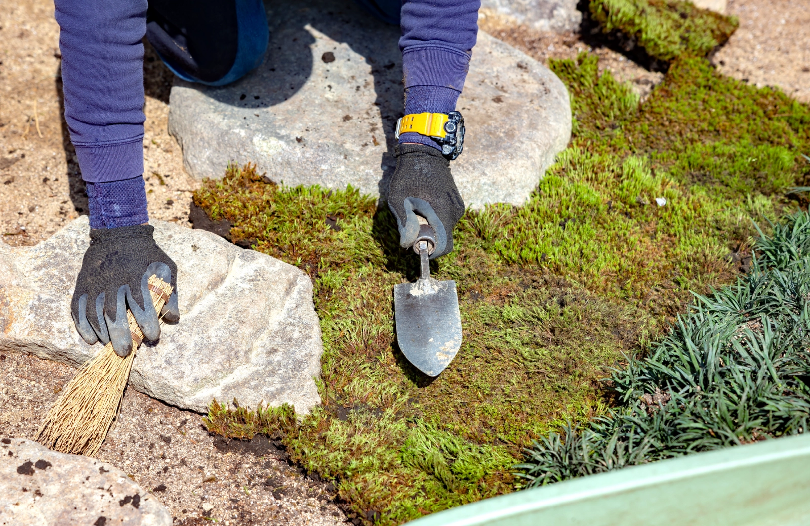 造園、芝庭施工の様子