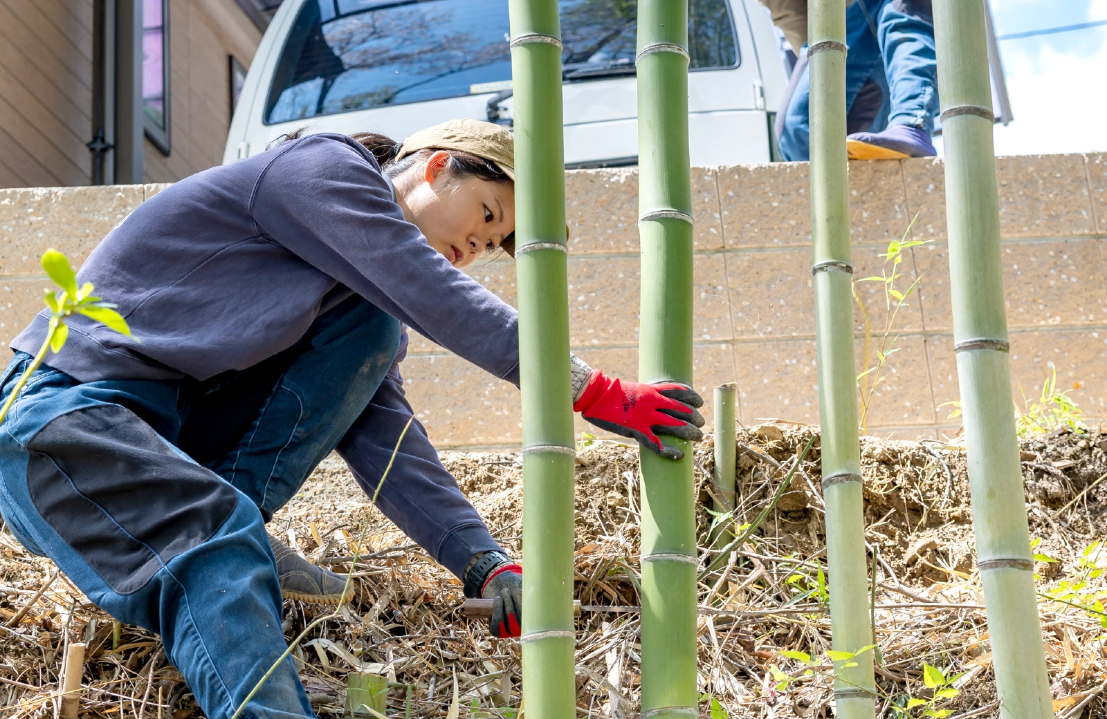 造園、芝庭施工の様子