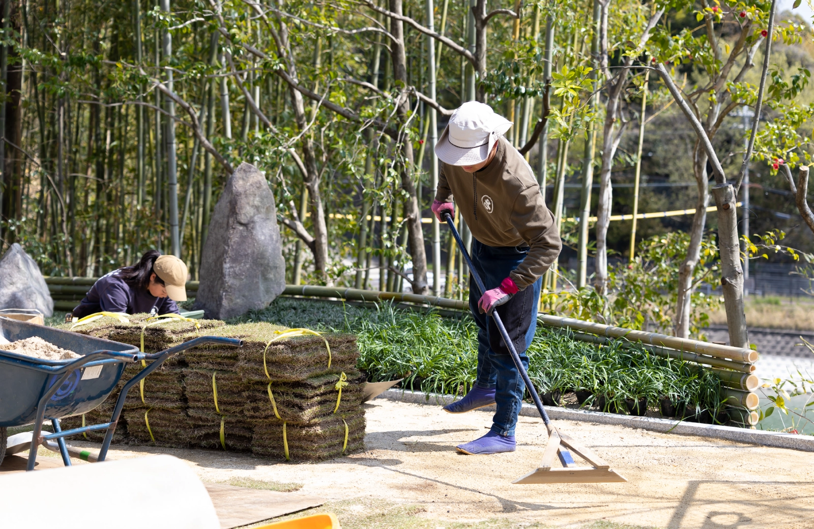 造園、芝庭施工の様子
