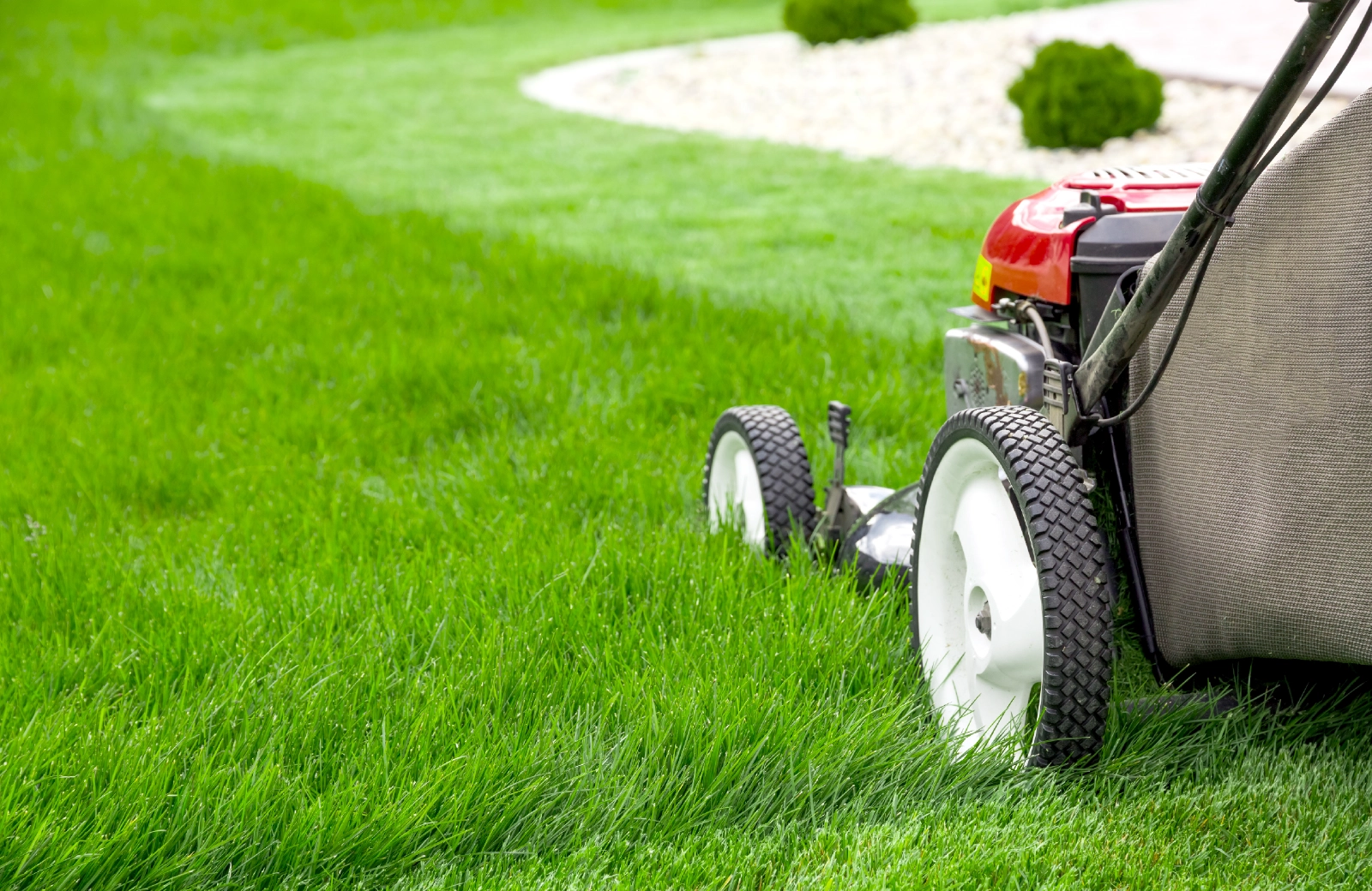 造園、芝庭施工の様子