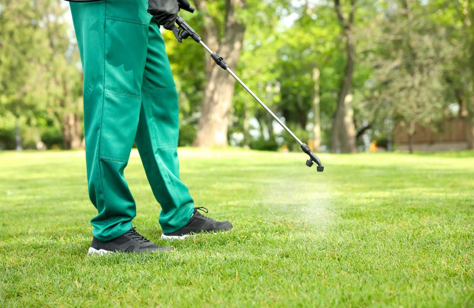 造園、芝庭施工の様子